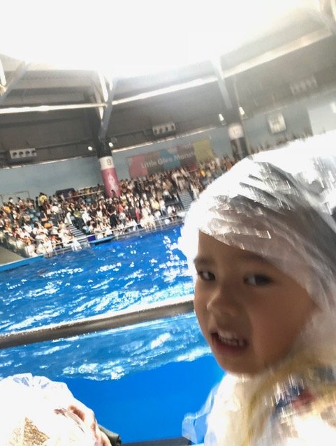 ▲ポンコツパパの僕がまた映画を観はじめた頃…。息子を水族館に連れて行ってくれたママ。イルカショーでビショビショだけど、楽しかったと晴太郎。