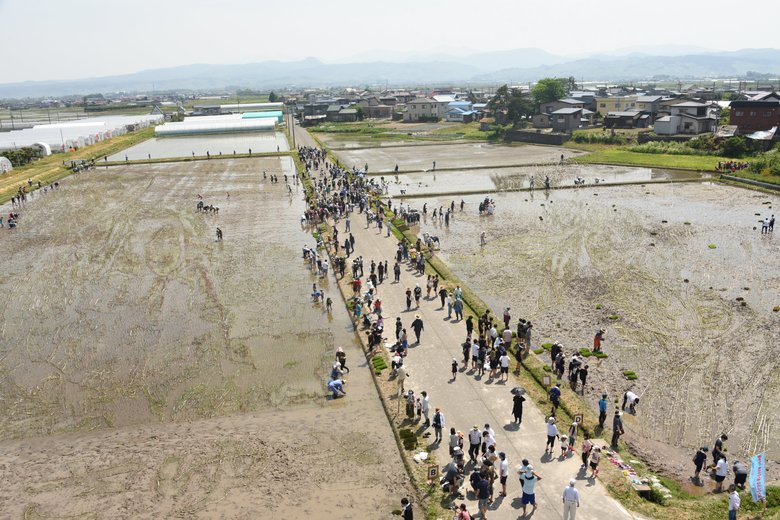 田植えツアーの様子。全国から大勢の人が集まる