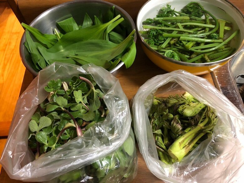 山菜を採ったときは保存食を作ることもある