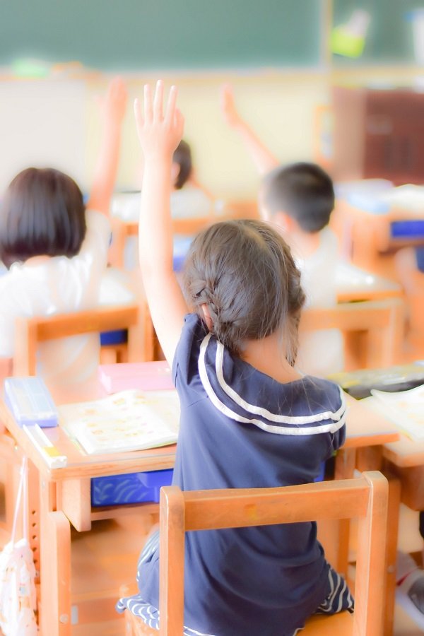 授業参観で挙手する子どもの後ろ姿の画像