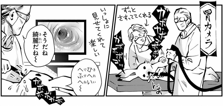 漫画『末期ガンでも元気です　38歳エロ漫画家、大腸ガンになる』第2話（7/54P）