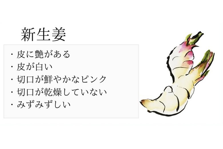 おいしい新生姜の見分け方