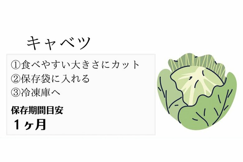 キャベツの冷凍保存方法