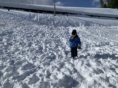 妻の実家・山形へ移住した夫のリアル「車社会なのに免許がない」