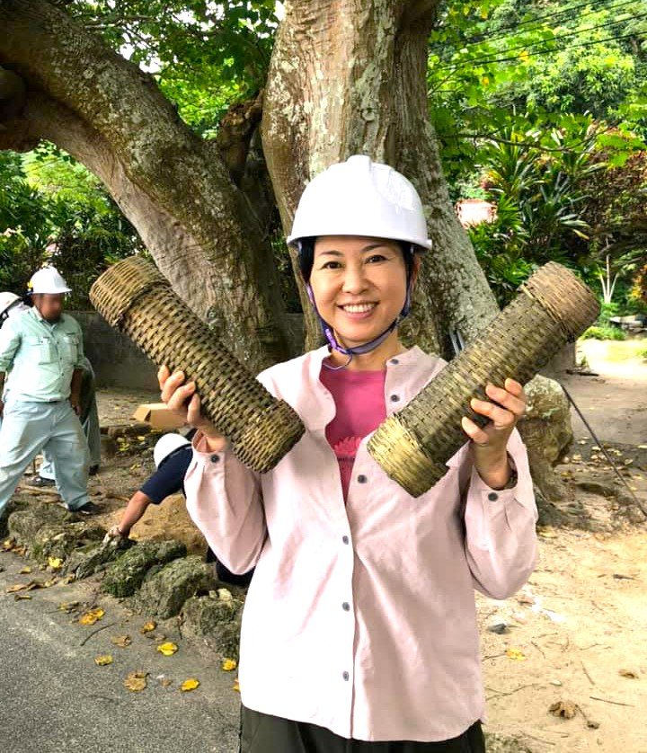 奄美のデイゴを治療するみずほさん