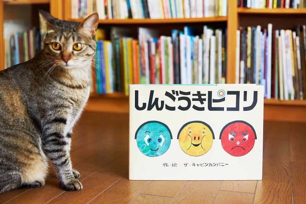 絵本『しんごうきピコリ』と猫