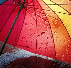 1万本の傘をさした店長が勧める傘は、おにぎり１個分の重さ!?