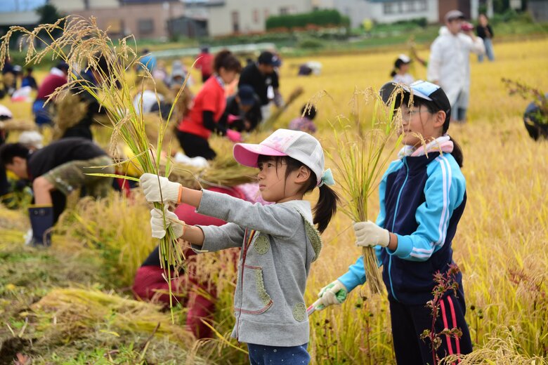 稲刈り体験ツアーの様子