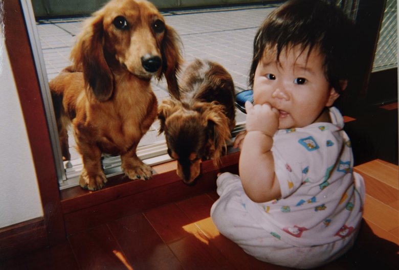 赤ちゃんのころのはなさん、愛犬と仲よく並んで