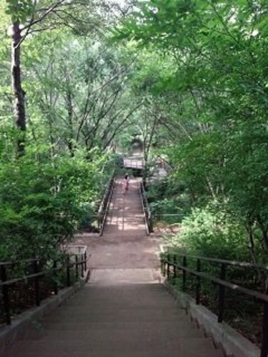 東京で自然と昔遊びを満喫！子供と１日遊べるオススメスポット