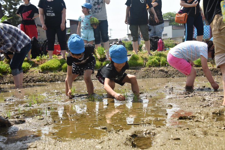 大人から子どもまでみんなで田植えを楽しむ