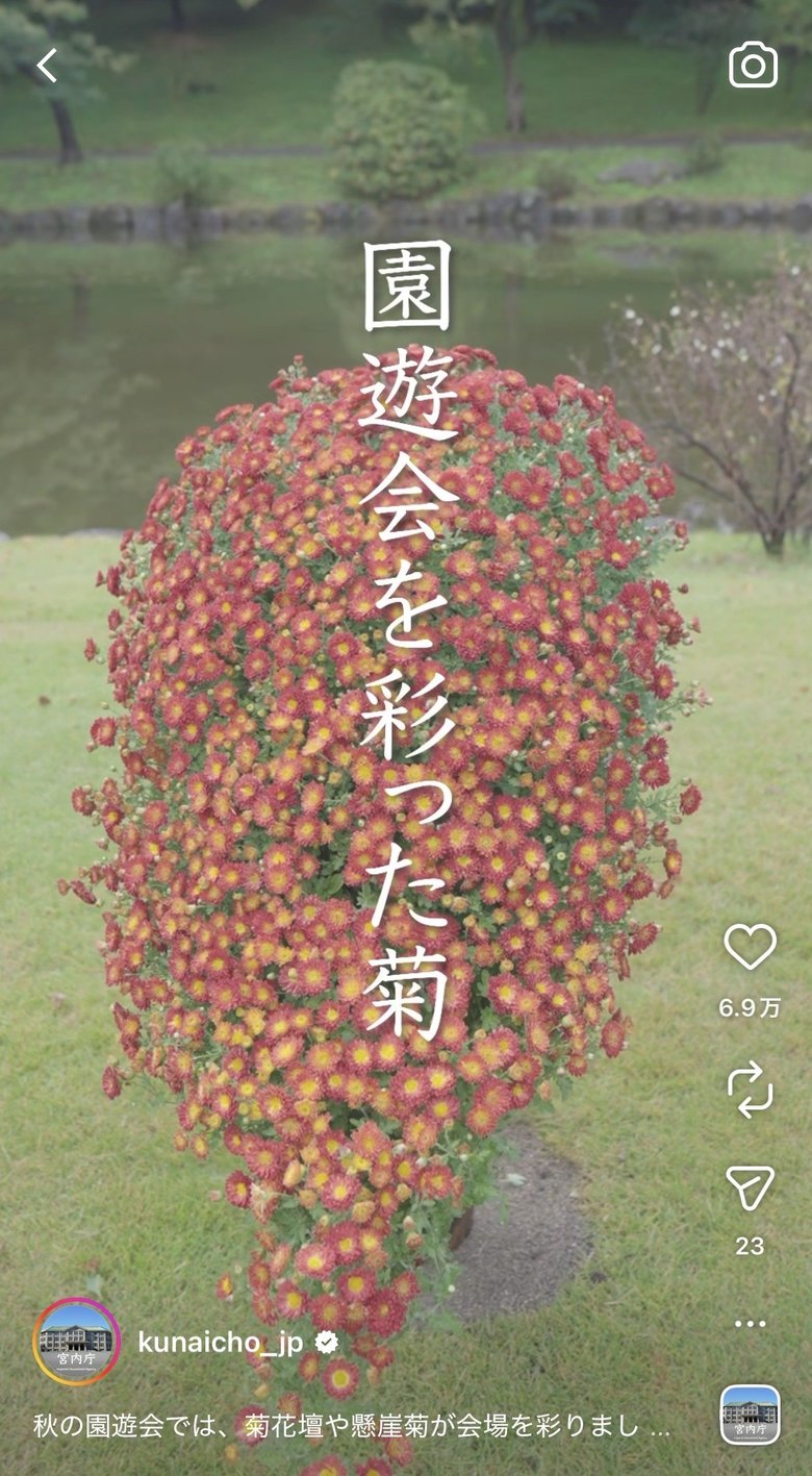 これまで知る機会が少なかった皇室の文化にも触れることができる