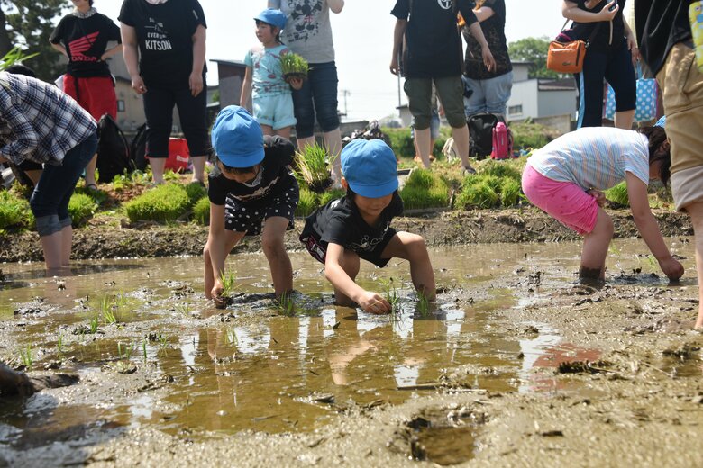 田植え体験ツアーの様子