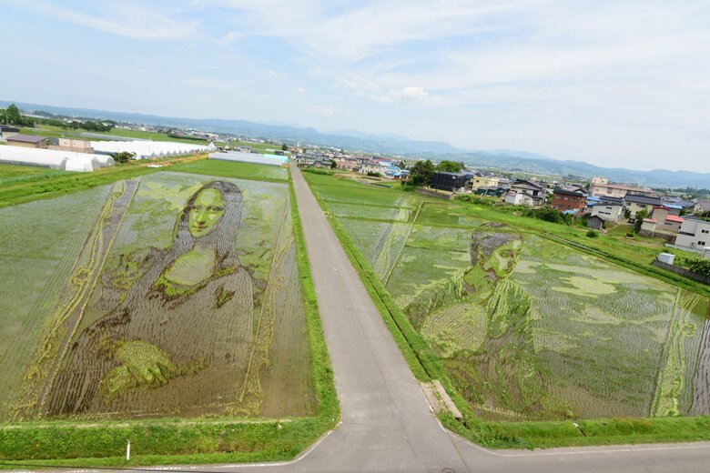令和4年の第1田んぼアート作品「モナリザと湖畔」（2022年6月現在）