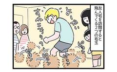 犬の激しいお出迎え！きょうだいの対応力に差が