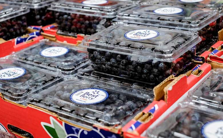 7:ブルーベリー510g　698円（税込）