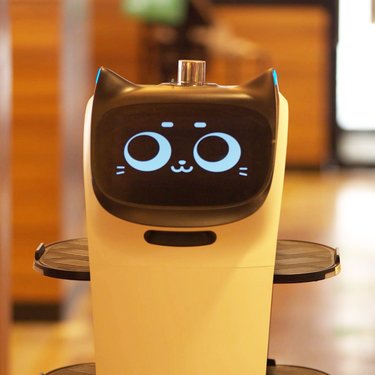 導入3000台「転ばない」「よけて通る」ネコ型配膳ロボが賢い理由