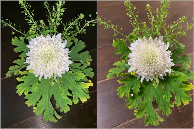 ▲左がフラッシュあり、右がフラッシュなしで撮影した作例。同じ条件の室内で撮影してもこれだけ仕上がりに差が出る