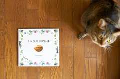 絵本『くるみのなかには』の世界観が魅せる！ファンタジーとサイエンスの両立