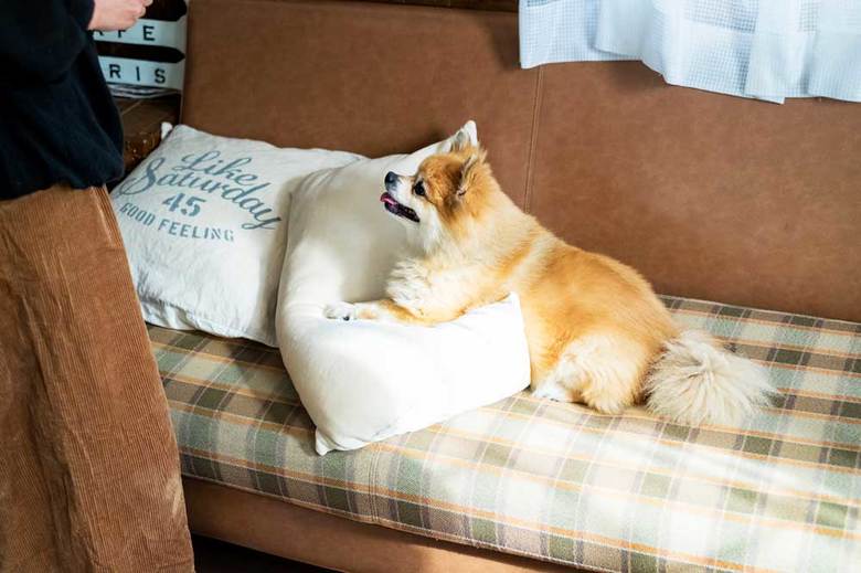 ▲現在取り扱いなし