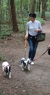 ボーダーのカットソーを着て、森の中を愛犬と散歩するリラックスした安藤さん