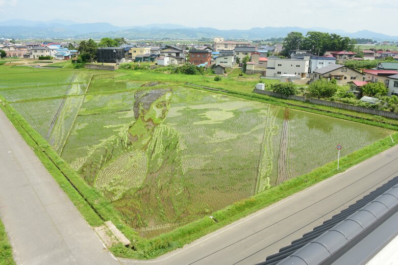 令和4年の第1田んぼアート作品「湖畔」（2022年6月現在）