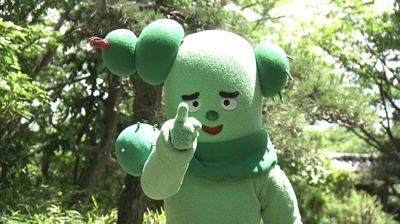 まっすぐな瞳でこちらを見つめるサボさん (C)NHK･NED