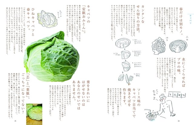 キャベツのページ