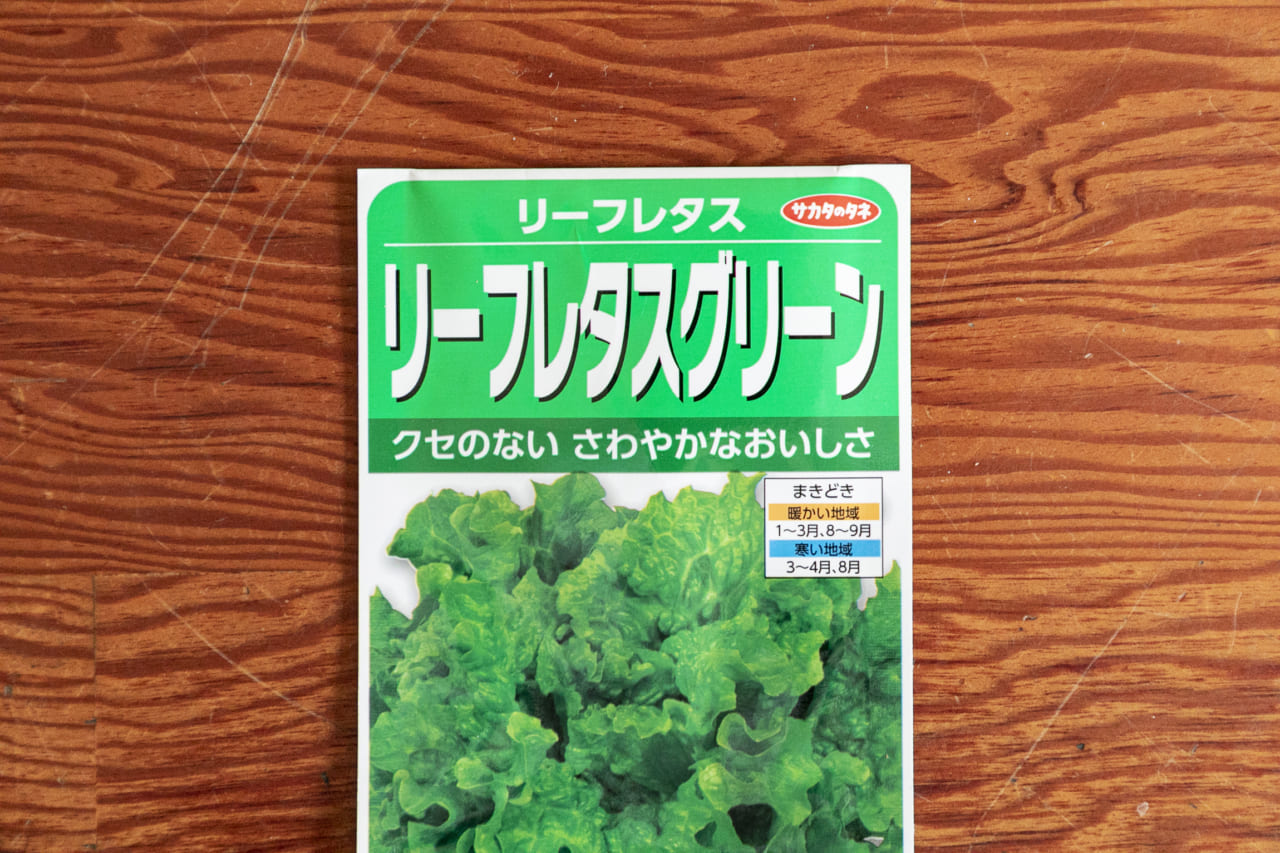 自宅で水耕栽培 葉野菜はペットボトルで育てる Chanto Web