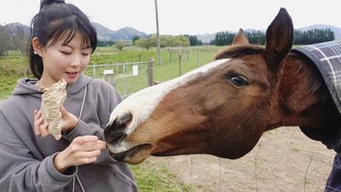 天才子役と呼ばれた福田麻由子「自分を出さない方が楽」ふさぎこんでいた20代経て農業で見出した本当の自分