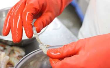 震災で変わった価値観「苦しまない働き方」を広げるエビ工場