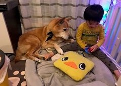 “イクメン”ならぬ“イクドッグ”！ワーママと息子と、犬がいる暮らし