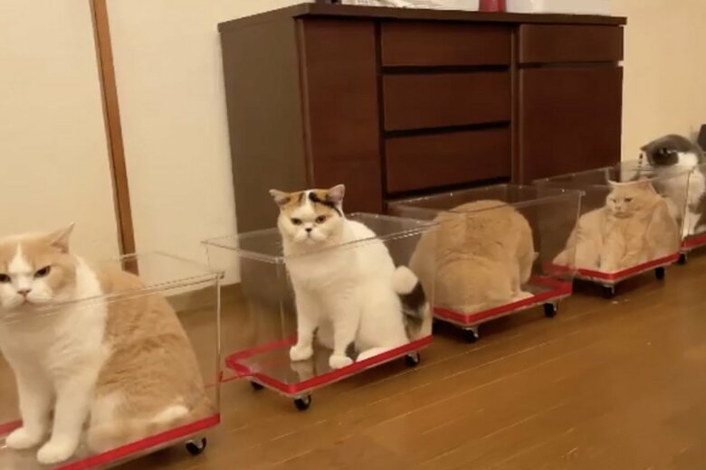 透明な「無限列車」に乗ってレッツミャ〜！