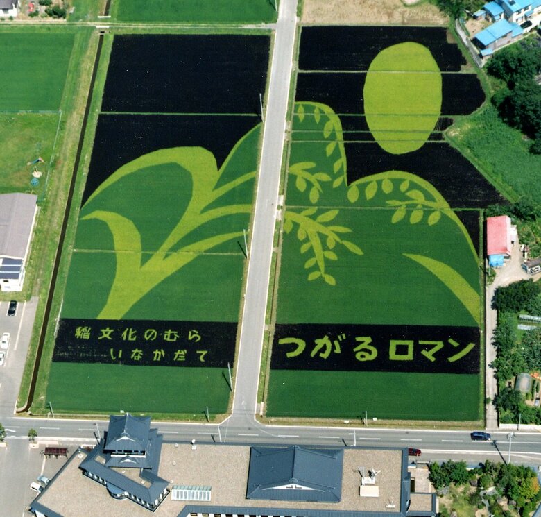平成14年の作品「岩木山と月」。テレビに取り上げられ、田んぼアートが注目を浴びるようになった