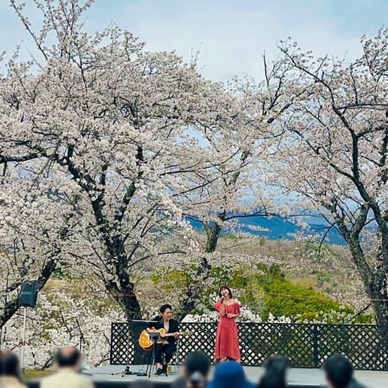 以前に天野さんと行なった、さくら祭りでの演奏の様子
