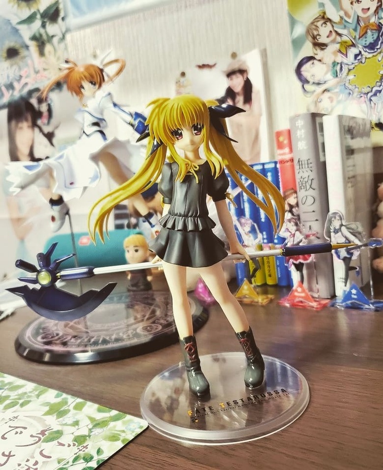 好きなアニメのフィギュアに囲まれて生活する。その部屋は癒しの空間でもある