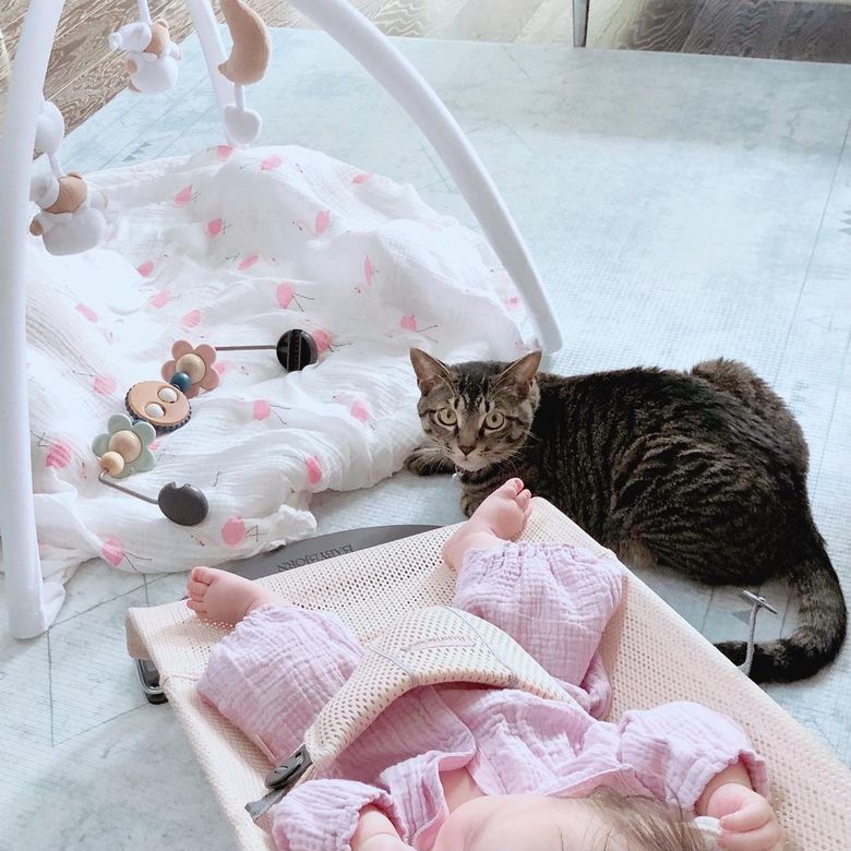 生後3か月頃。育児と猫のお世話で多忙な日々を送る