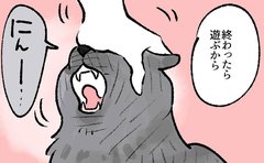 【漫画】猫の兄妹の「あざとい交渉術」粘る妹と情に訴える兄に「もう降参」