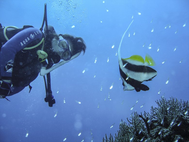 夫とは趣味だったダイビングで出会った千堂あきほさん