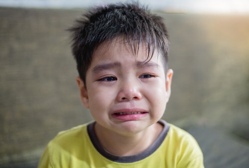 shutterstock_549165454