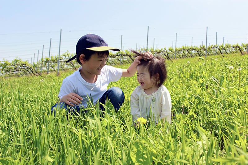 ダウン症を持つ愛子ちゃんとお兄ちゃん
