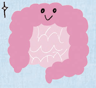 スクリーンショット 2016-06-06 18.22.12