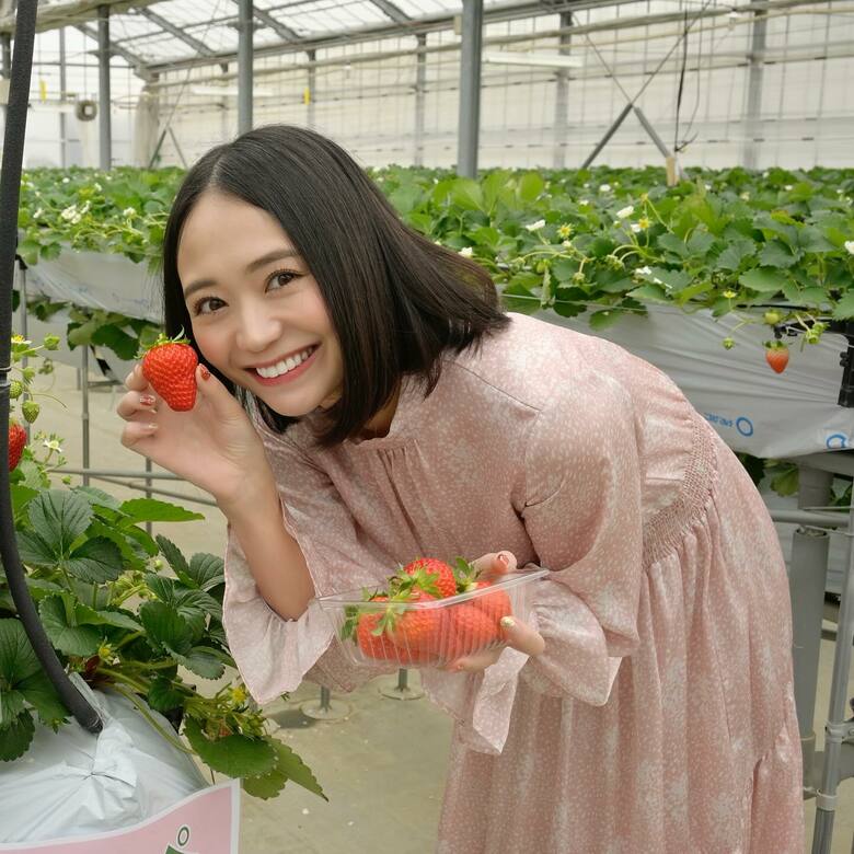 大好きなピンクの服を着ていちご摘み取り体験へ