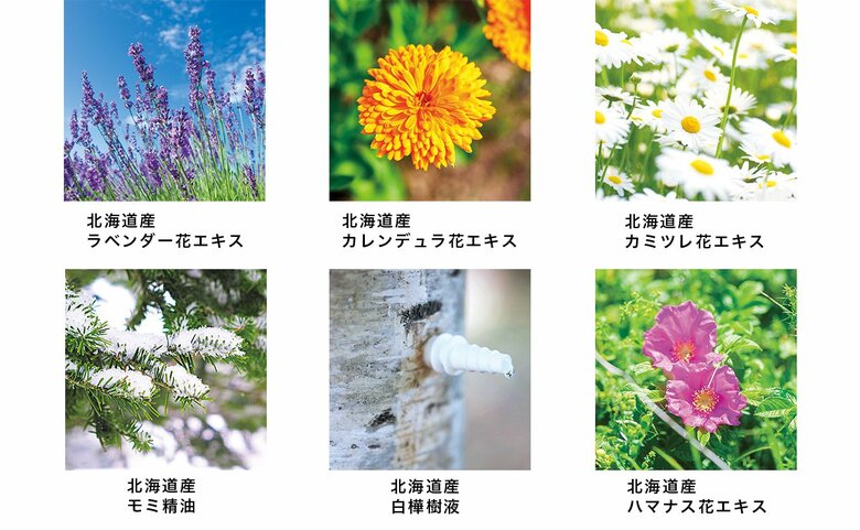 ※使用している素材は種類ごとに異なります