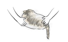 愛猫の死「お姫さまに救われた毎日を描きとめたかった」飼い主の漫画に反響