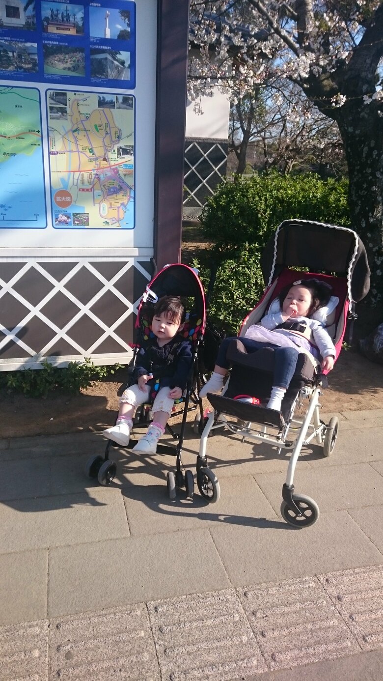 ベビーカー（左）と子ども用車いす（右）の比較。見た目では違いがわかりにくい