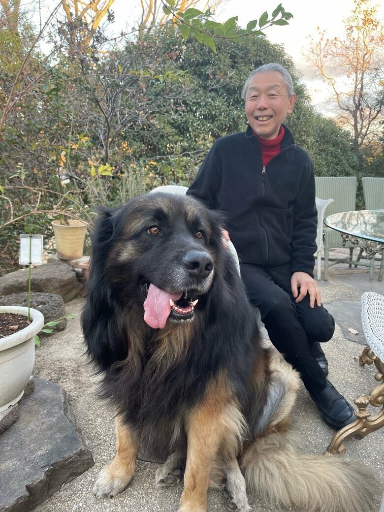 庭で愛犬レオンベルガーのレオンとお散歩