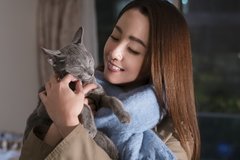 映画『猫は抱くもの』沢尻エリカの「ツンデレ、デレ抜き」