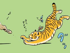 百獣の王ライオンの意外な弱点とは!?肉食動物の面白い観察法