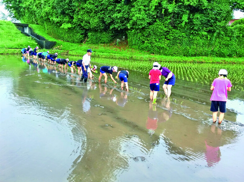 小学生が地域の方と一緒に田植えをしている様子